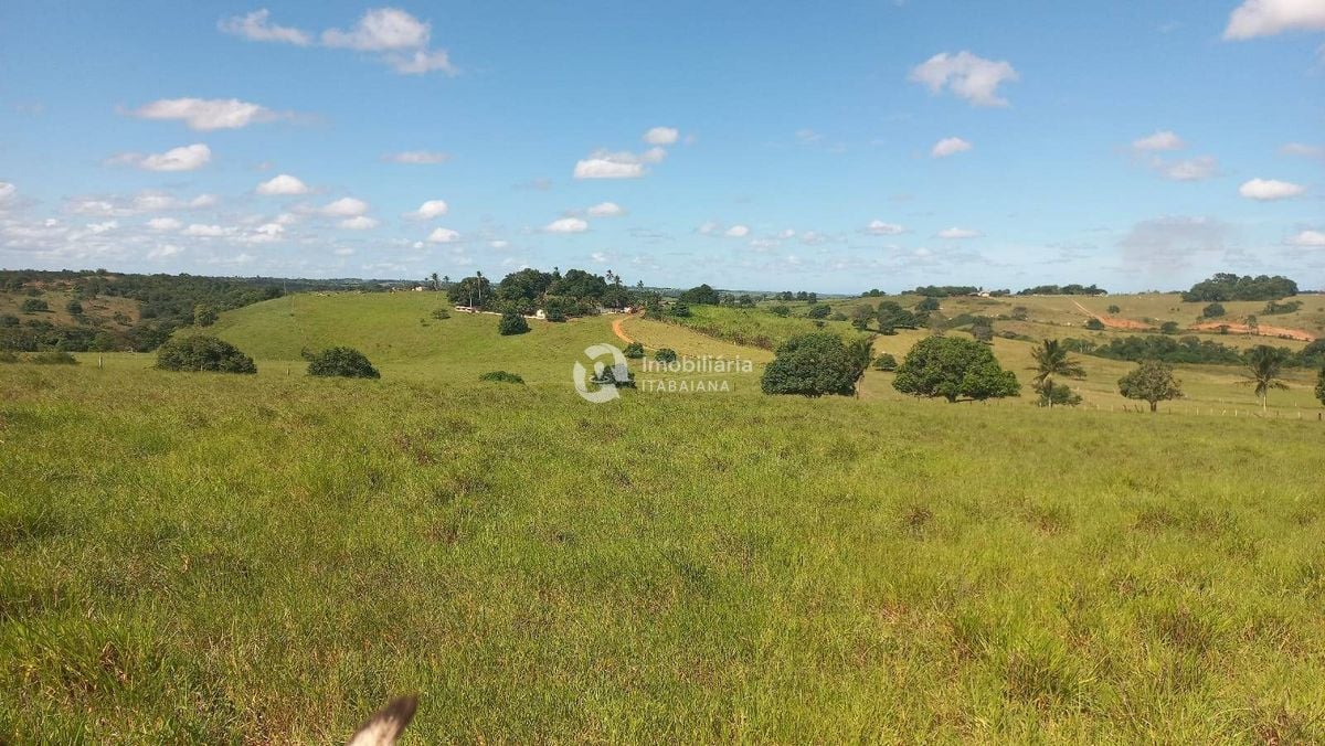 Rural com 5 Quartos à Venda, 868,00 m² - Foto 41