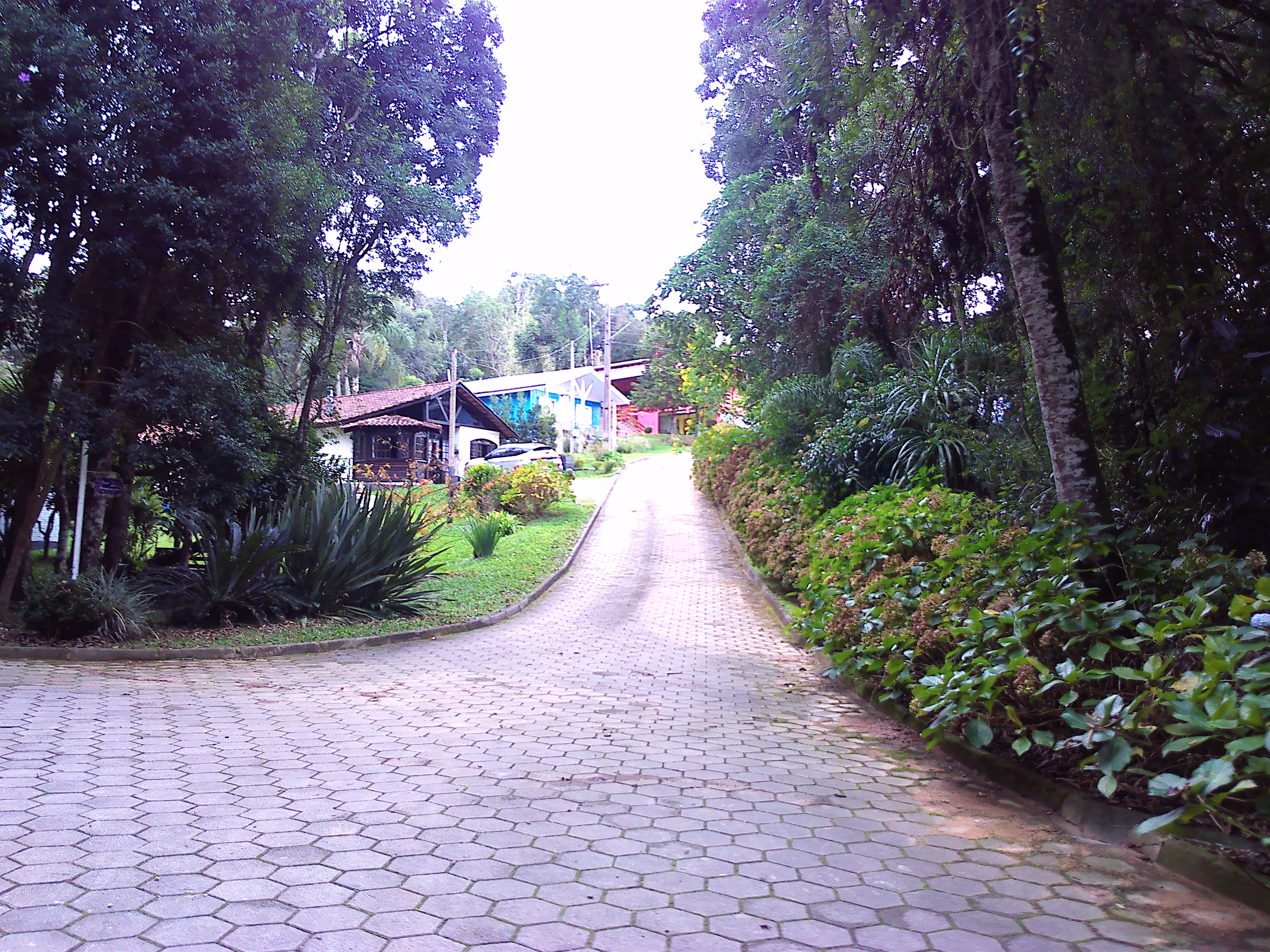 Rural com 3 Quartos à Venda, 1.237,22 m² - Foto 15