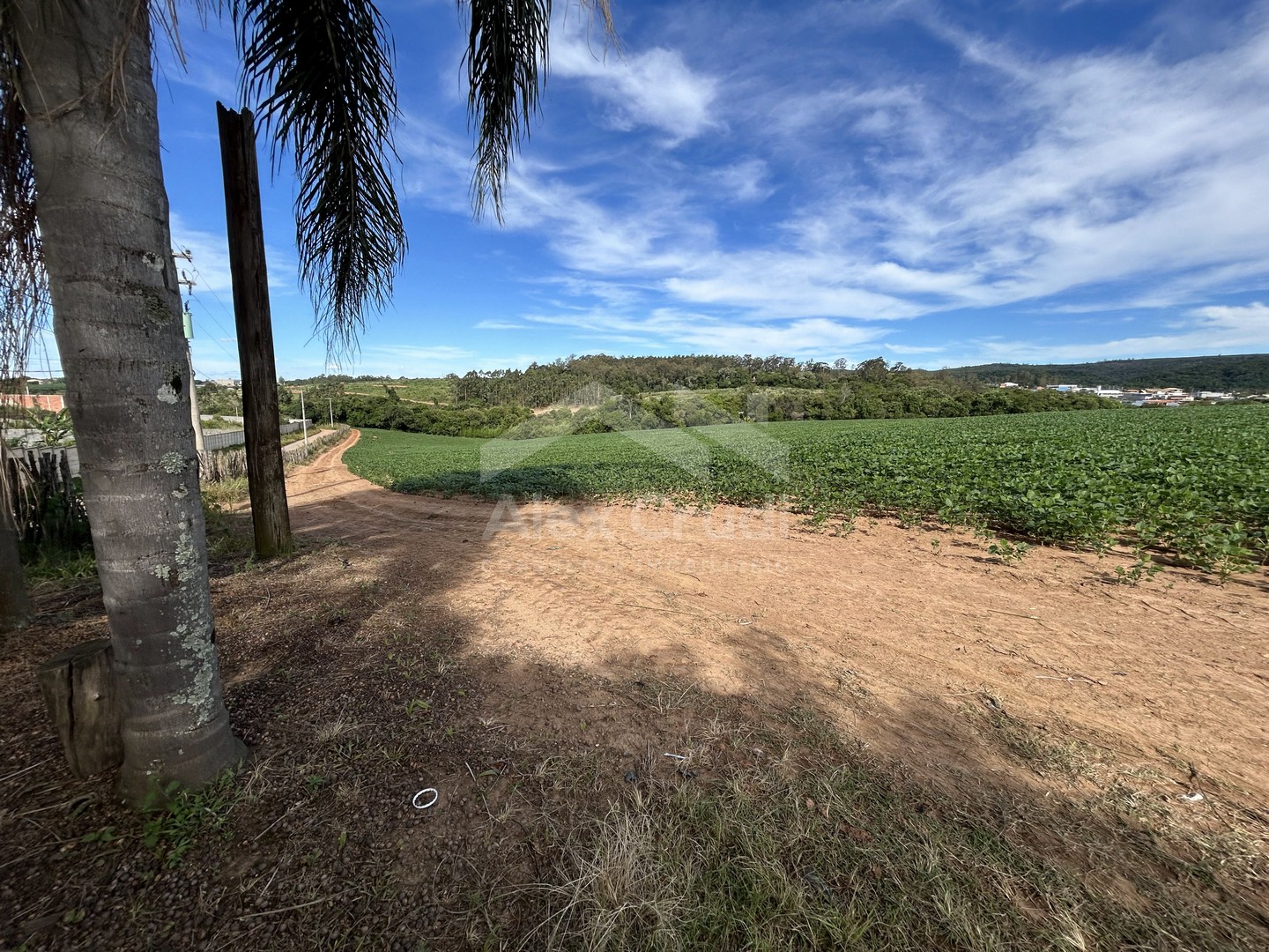 Rural com 8 Quartos à Venda, 242.000,00 m² - Foto 25