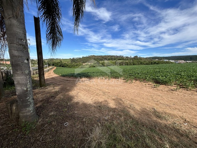 Rural com 8 Quartos à Venda, 242.000,00 m² - Foto 1