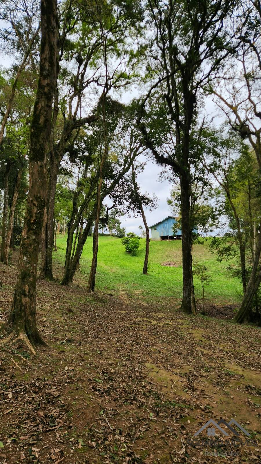 Terreno à Venda, 17.000,00 m² - Foto 3