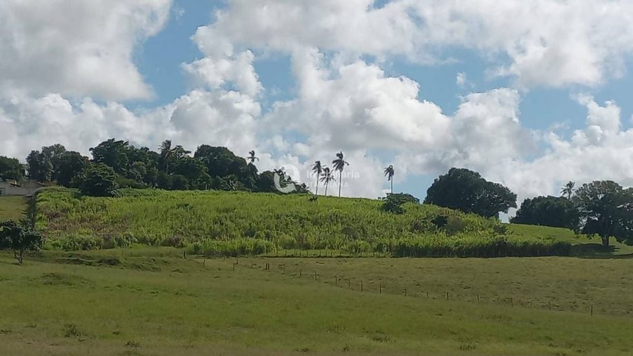 Rural com 5 Quartos à Venda, 868,00 m² - Foto 3