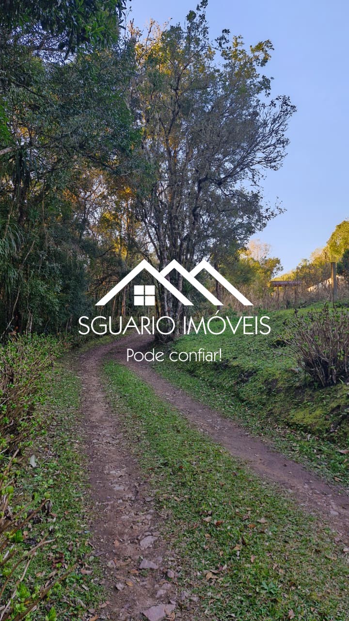 Rural com 4 Quartos à Venda, 7.865,00 m² - Foto 3