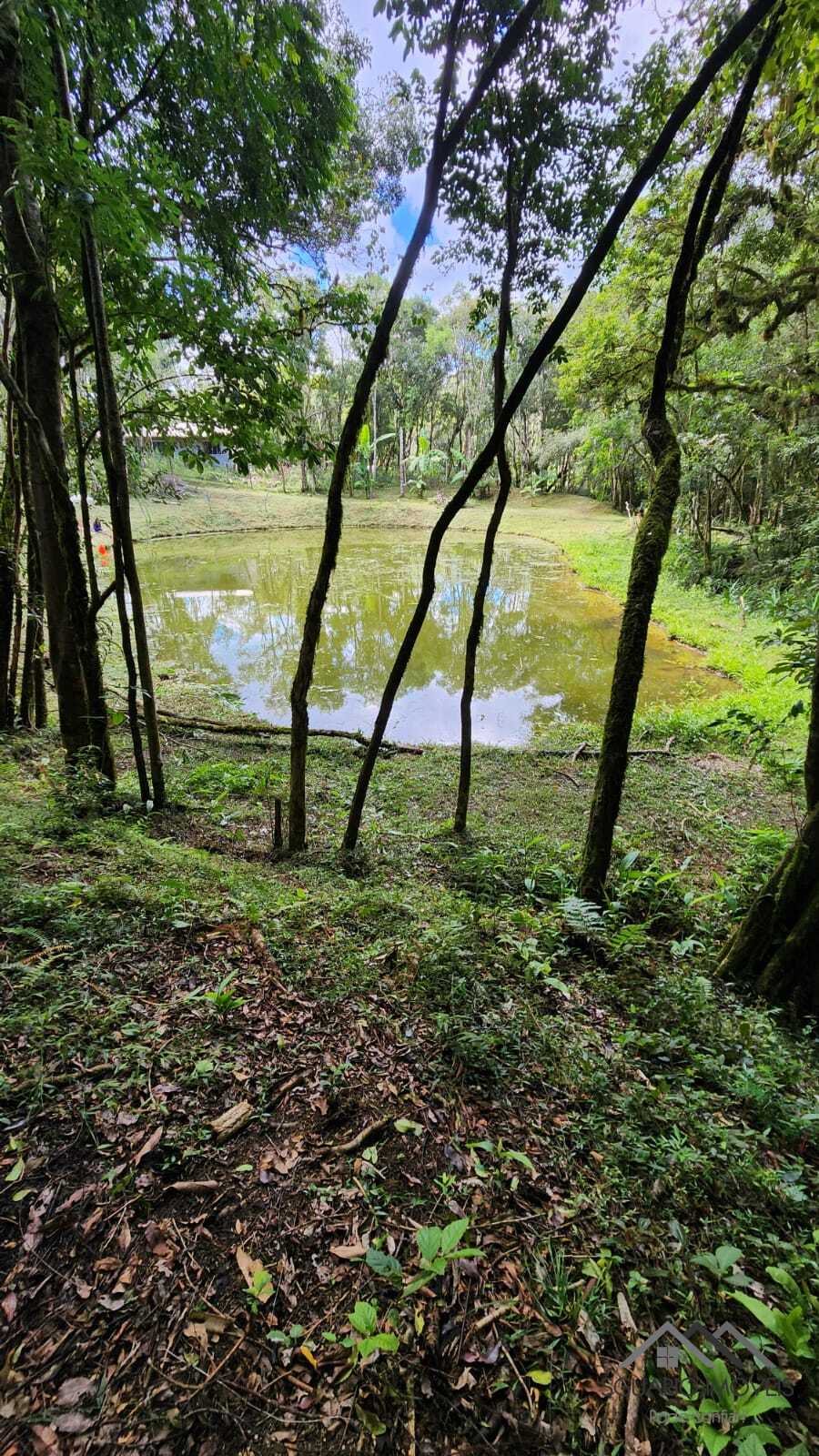 Rural à Venda, 10.859,00 m² - Foto 16