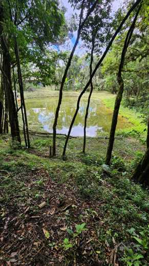 Rural à Venda, 10.859,00 m² - Foto 16