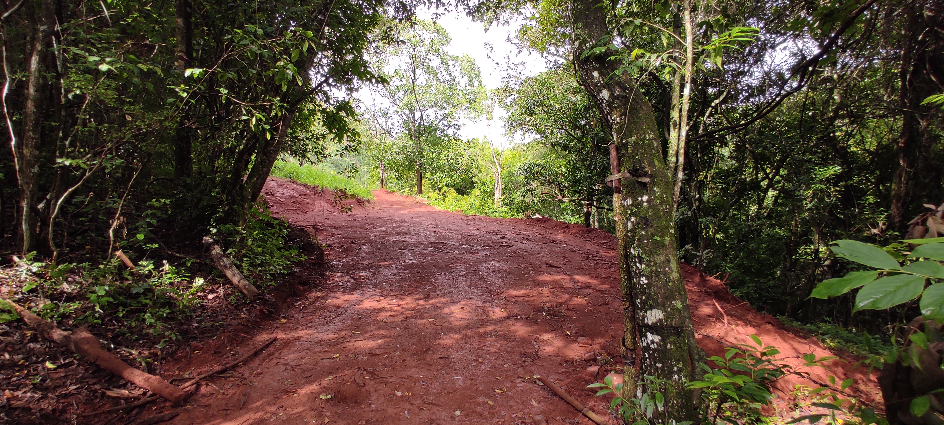 Rural à Venda, 66.000,00 m² - Foto 6