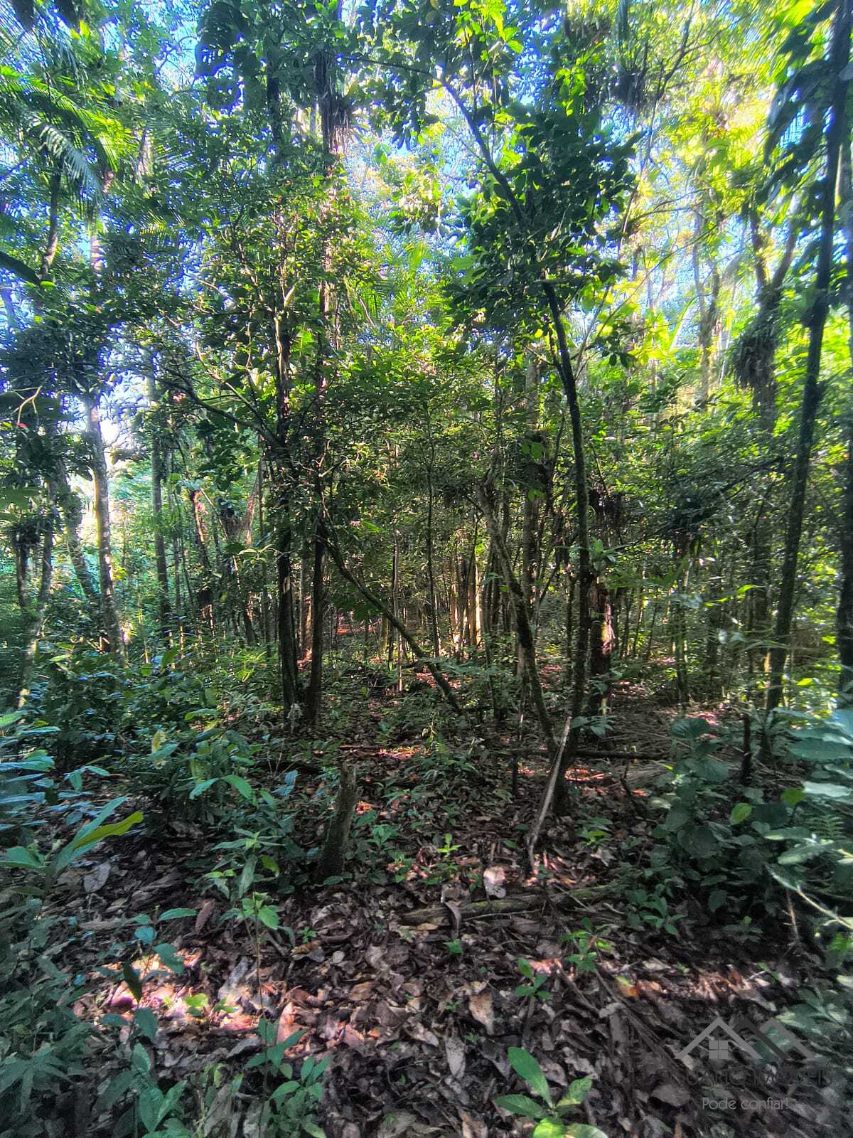 Rural à Venda, 84.700,00 m² - Foto 49