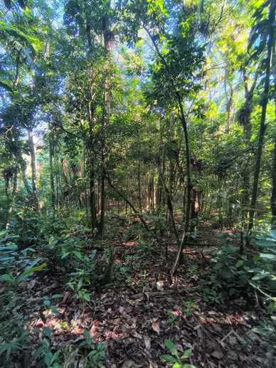 Rural à Venda, 84.700,00 m² - Foto 49