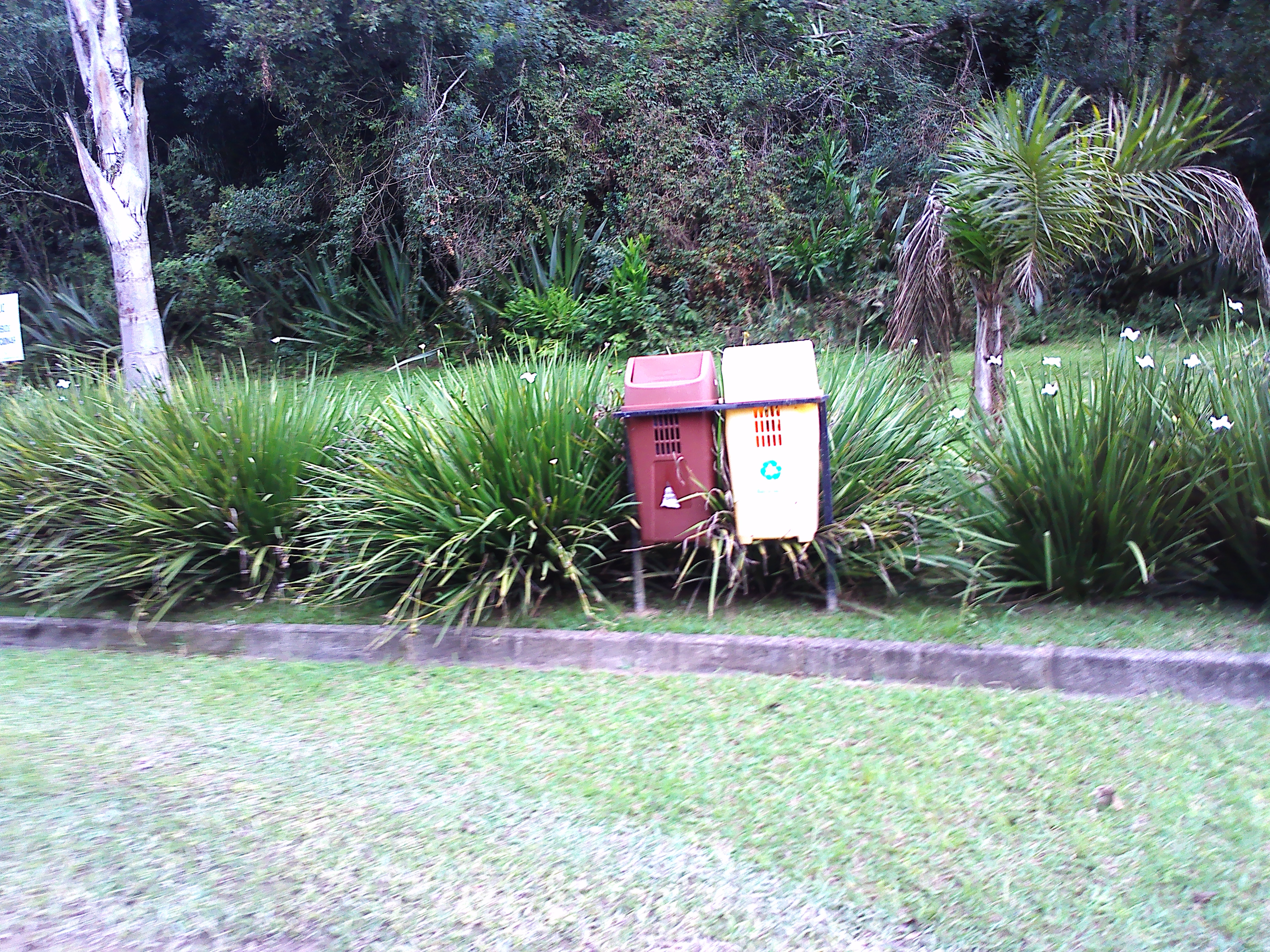 Rural com 3 Quartos à Venda, 1.237,22 m² - Foto 52
