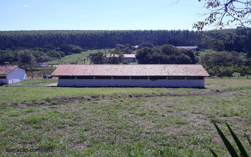 Rural com 7 Quartos à Venda - Foto 7