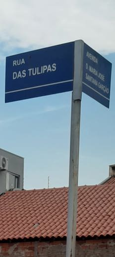 Terreno à Venda, 125,41 m² - Foto 3