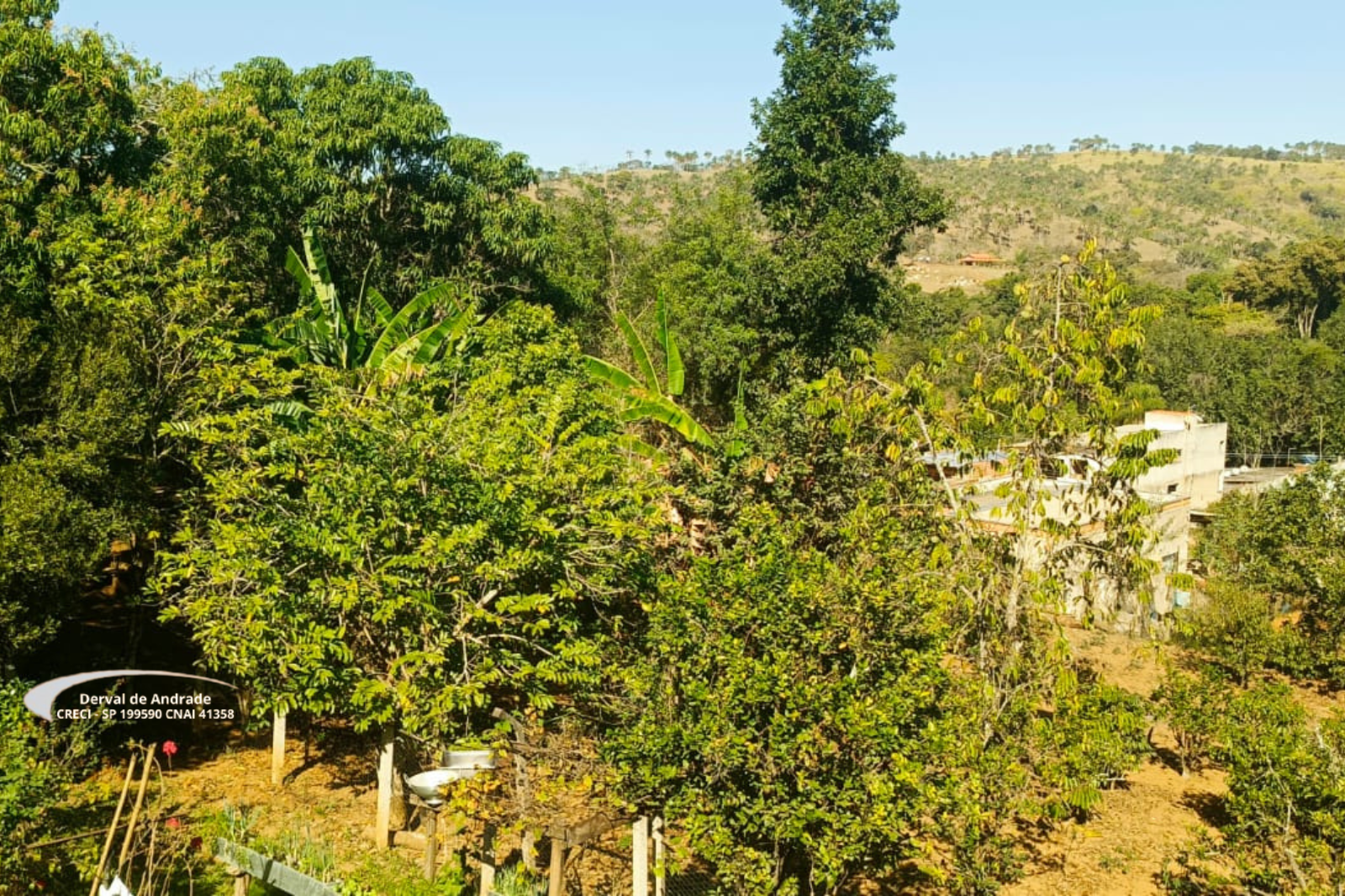 Rural com 2 Quartos à Venda, 1.411,00 m² - Foto 9