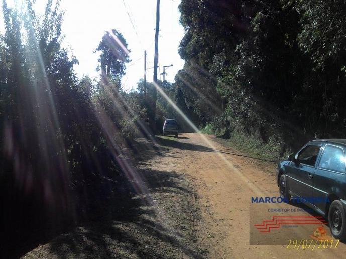 Terreno à Venda - Foto 3