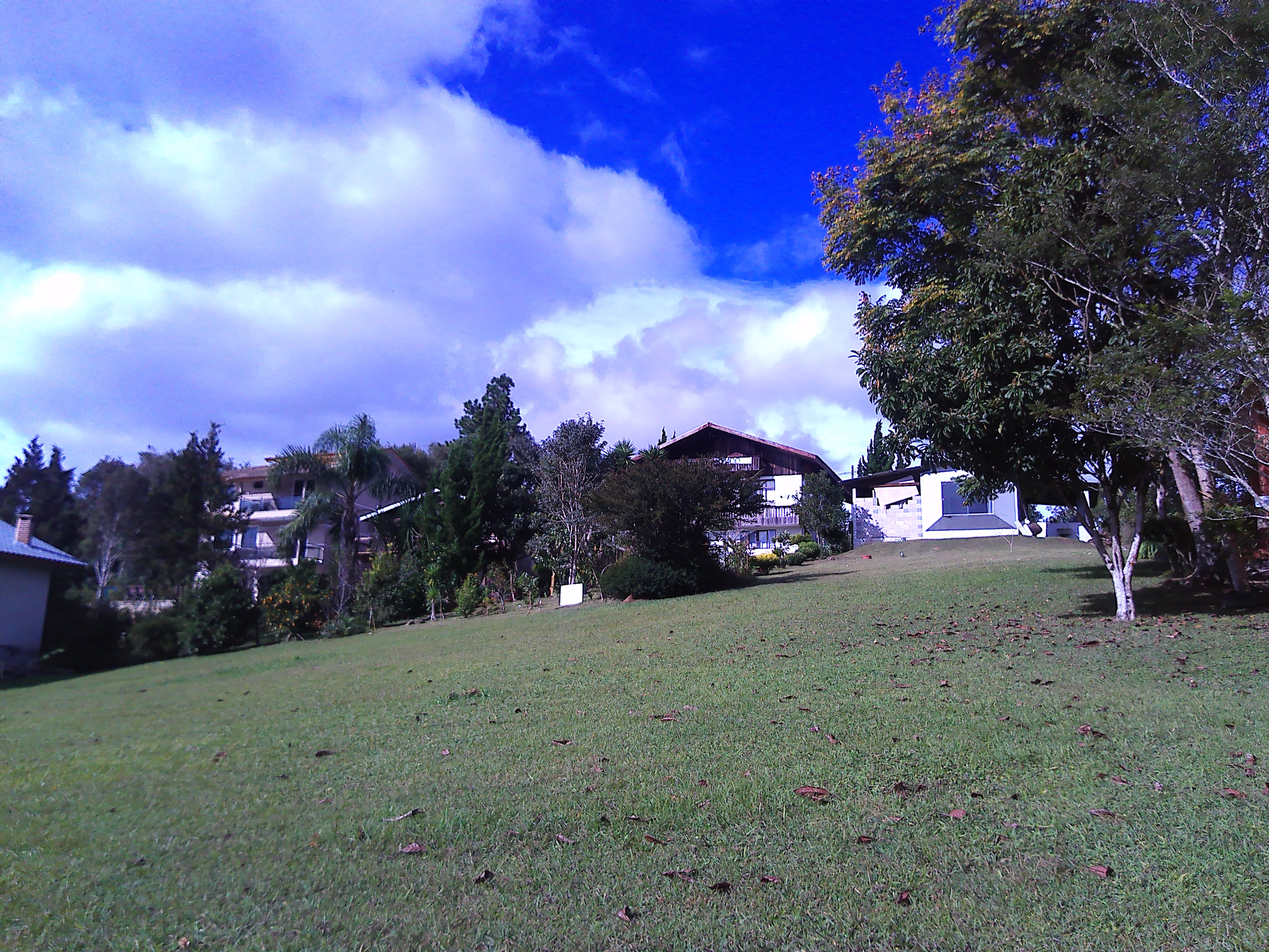 Rural com 3 Quartos à Venda, 1.237,22 m² - Foto 88
