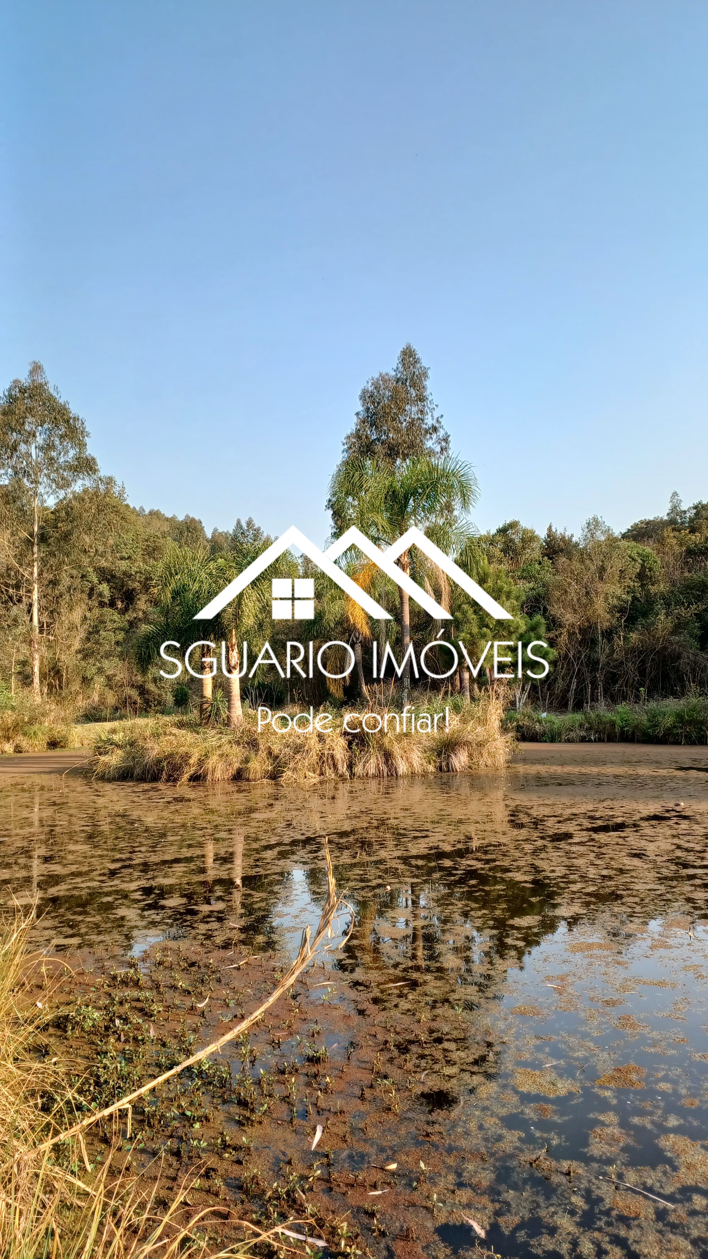 Rural com 2 Quartos à Venda, 26.344,00 m² - Foto 6