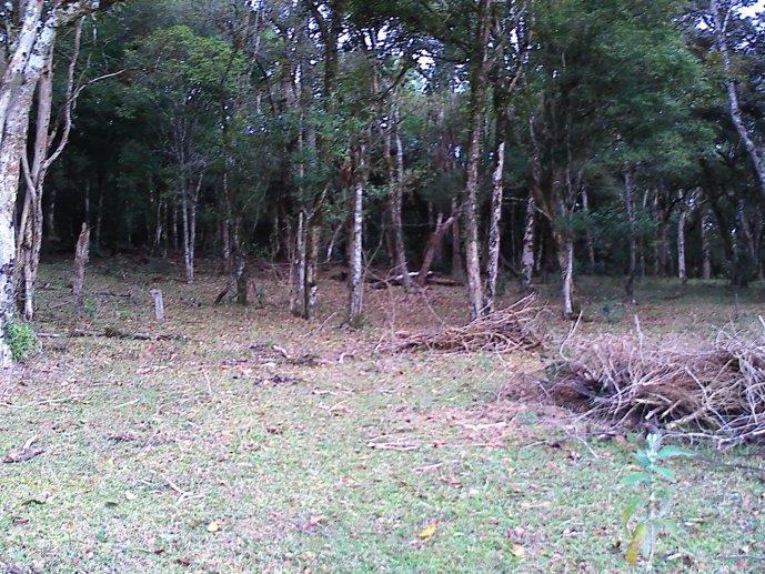 Rural com 3 Quartos à Venda, 24.946,87 m² - Foto 40