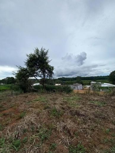 Casa com 2 Quartos à Venda, 1.920,00 m² - Foto 17