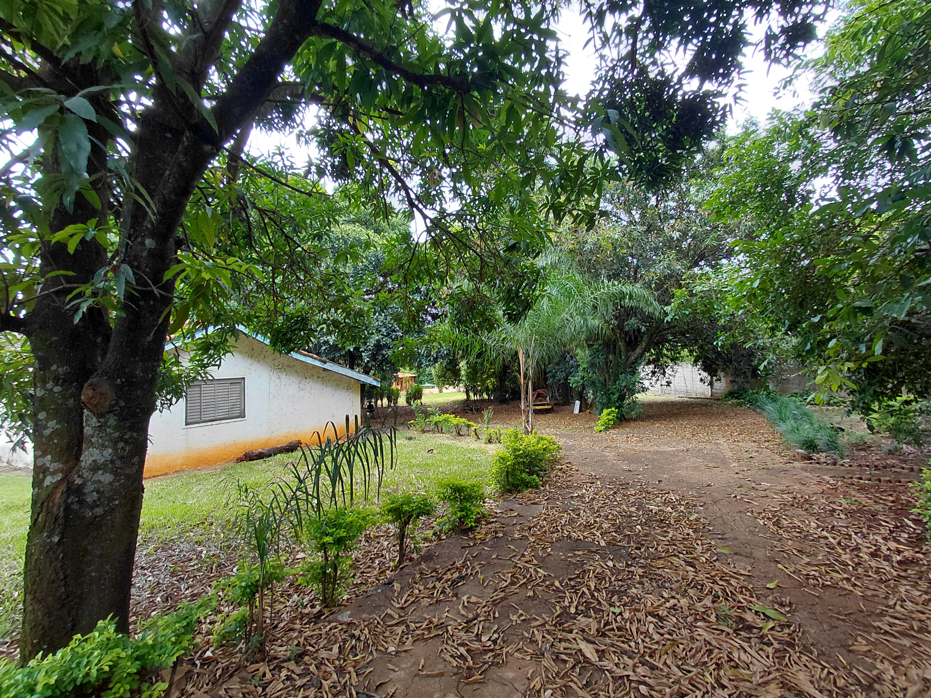 Casa com 2 Quartos à Venda, 7.480,00 m² - Foto 2