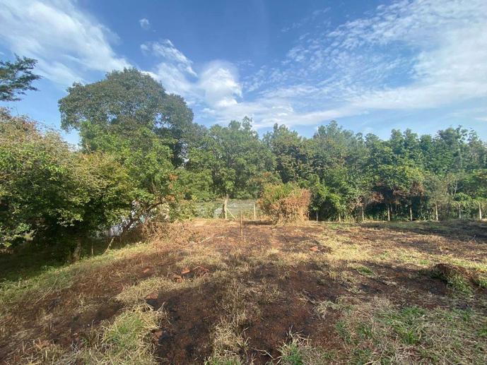 Rural à Venda, 2.556,00 m² - Foto 5