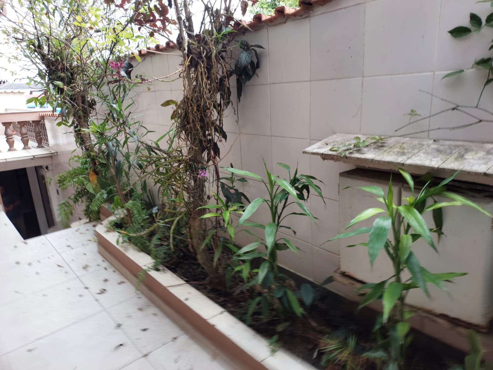 Casa com 4 Quartos à Venda - Foto 2