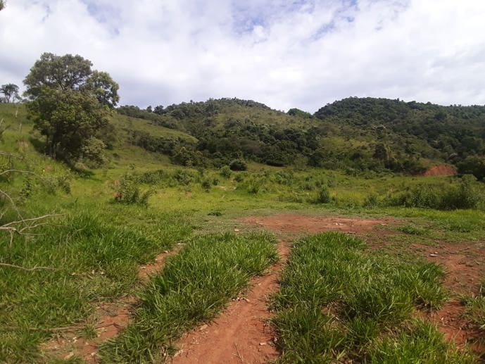 Rural com 3 Quartos à Venda, 314.600,00 m² - Foto 17