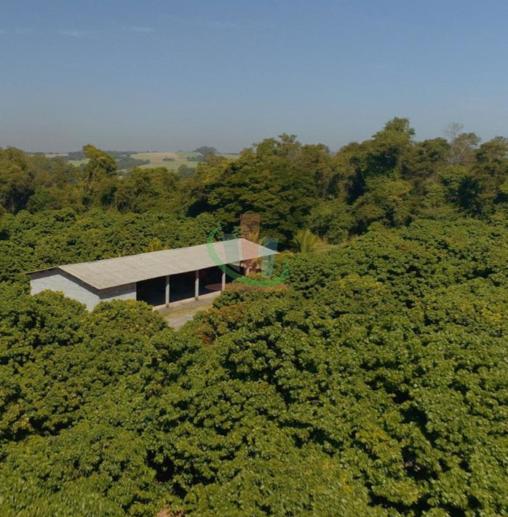 Rural com 4 Quartos à Venda, 241.000,00 m² - Foto 15