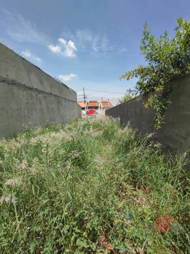 Terreno à Venda, 125,00 m² - Foto 8