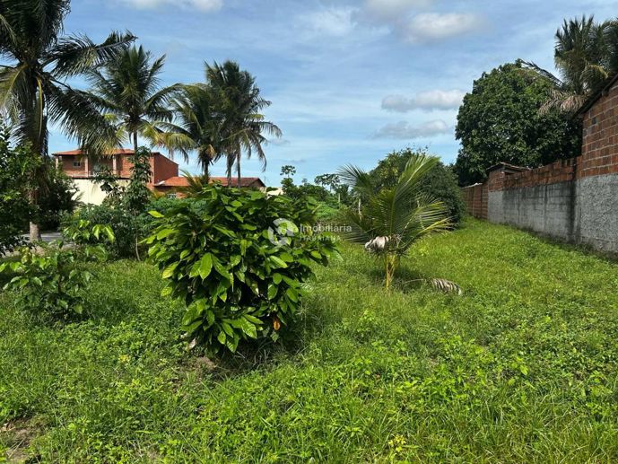 Rural com 7 Quartos à Venda - Foto 9