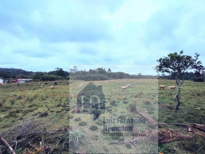Casa com 3 Quartos para Alugar, 60,00 m² - Foto 13