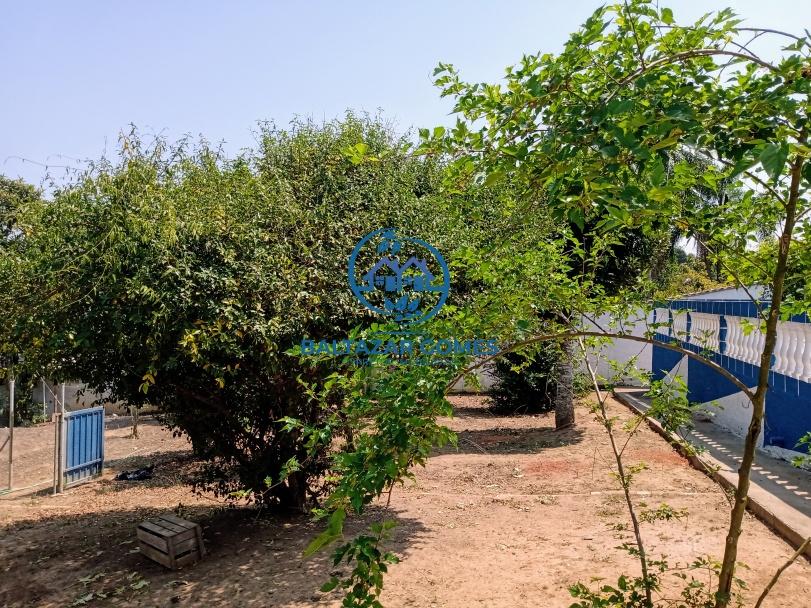 Rural com 3 Quartos à Venda - Foto 4