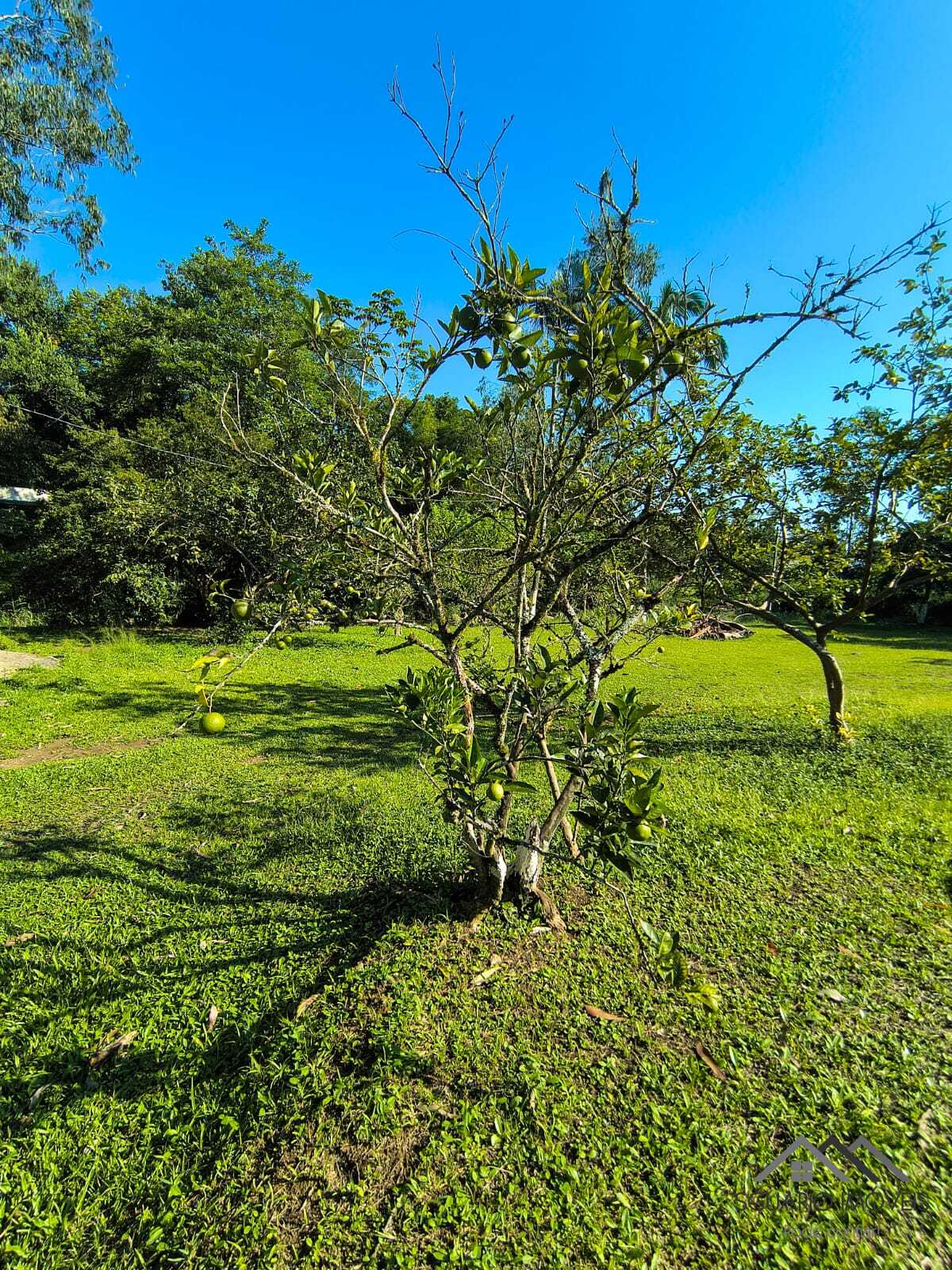 Rural à Venda, 84.700,00 m² - Foto 45