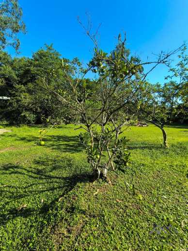 Rural à Venda, 84.700,00 m² - Foto 45