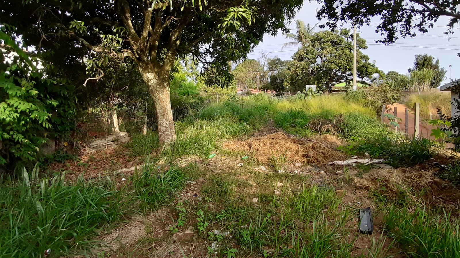 Terreno à Venda, 300,00 m² - Foto 6