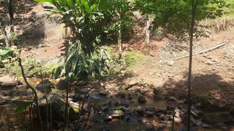 Rural com 2 Quartos à Venda - Foto 13
