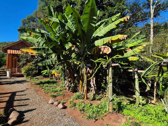 Rural com 1 Quarto à Venda - Foto 6
