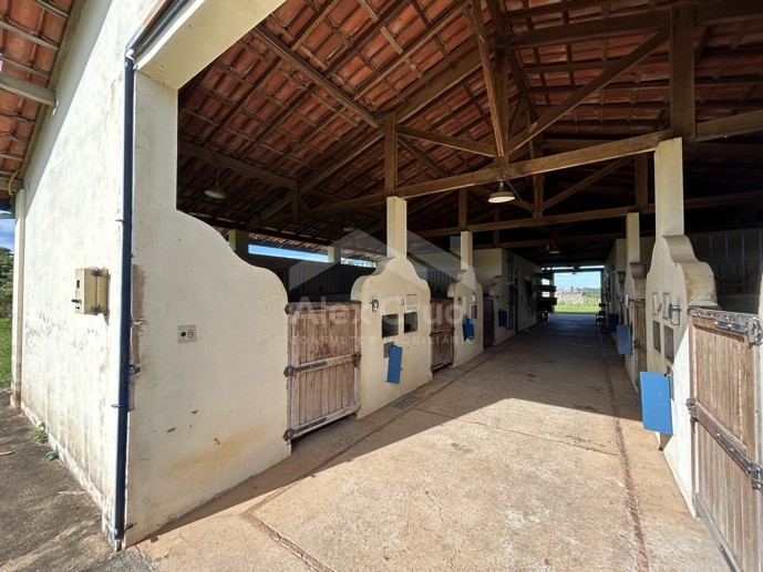 Rural com 8 Quartos à Venda, 242.000,00 m² - Foto 17