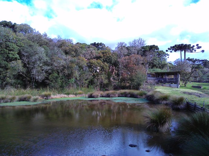 Rural com 3 Quartos à Venda, 24.946,87 m² - Foto 27