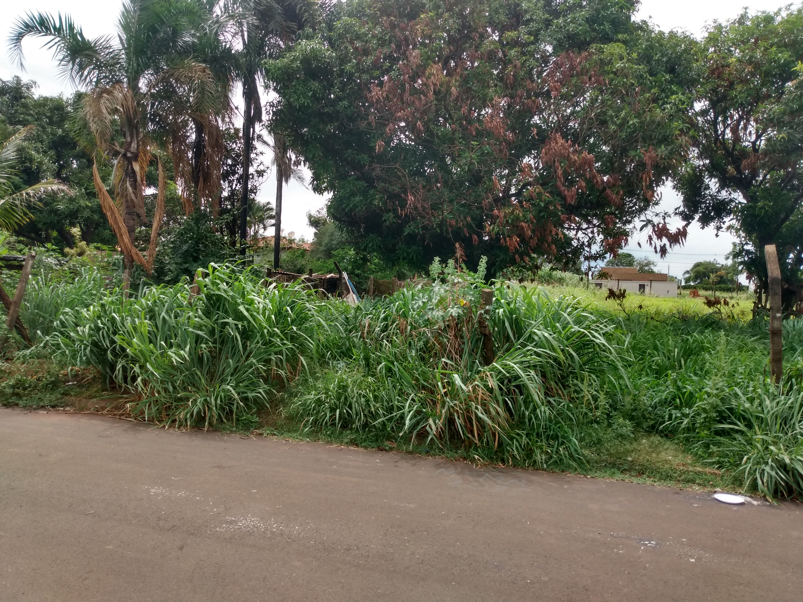 Terreno à Venda, 1.000,00 m² - Foto 4