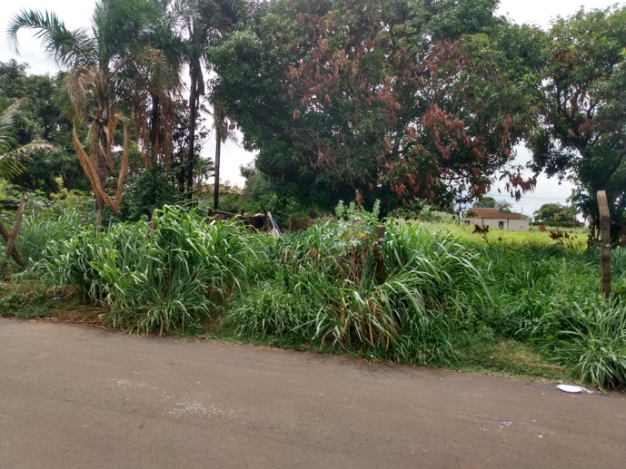 Terreno à Venda, 1.000,00 m² - Foto 4