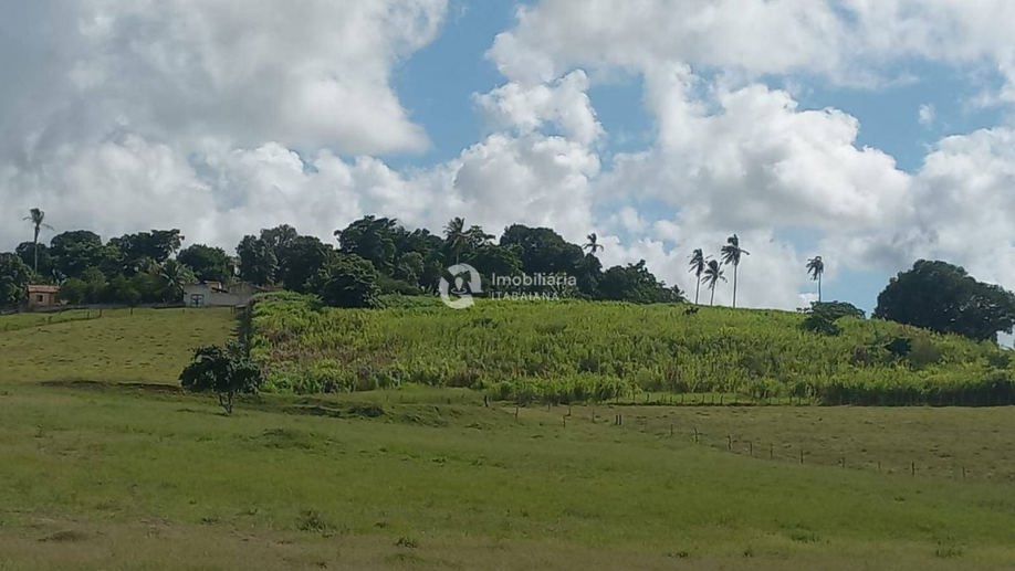 Rural com 5 Quartos à Venda, 868,00 m² - Foto 21