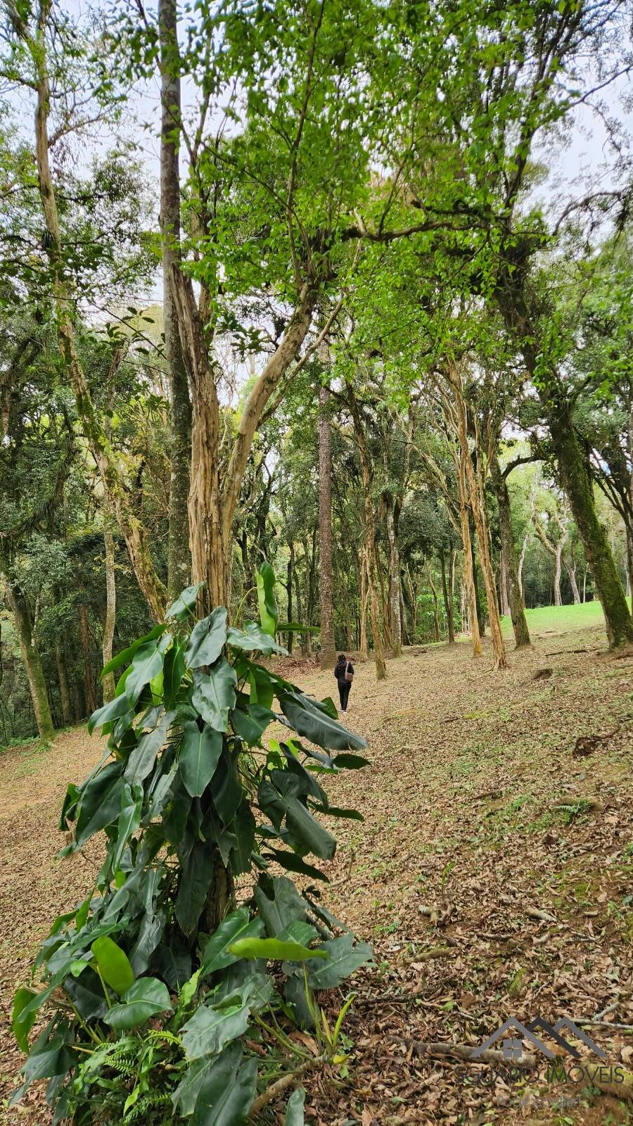 Terreno à Venda, 17.000,00 m² - Foto 4