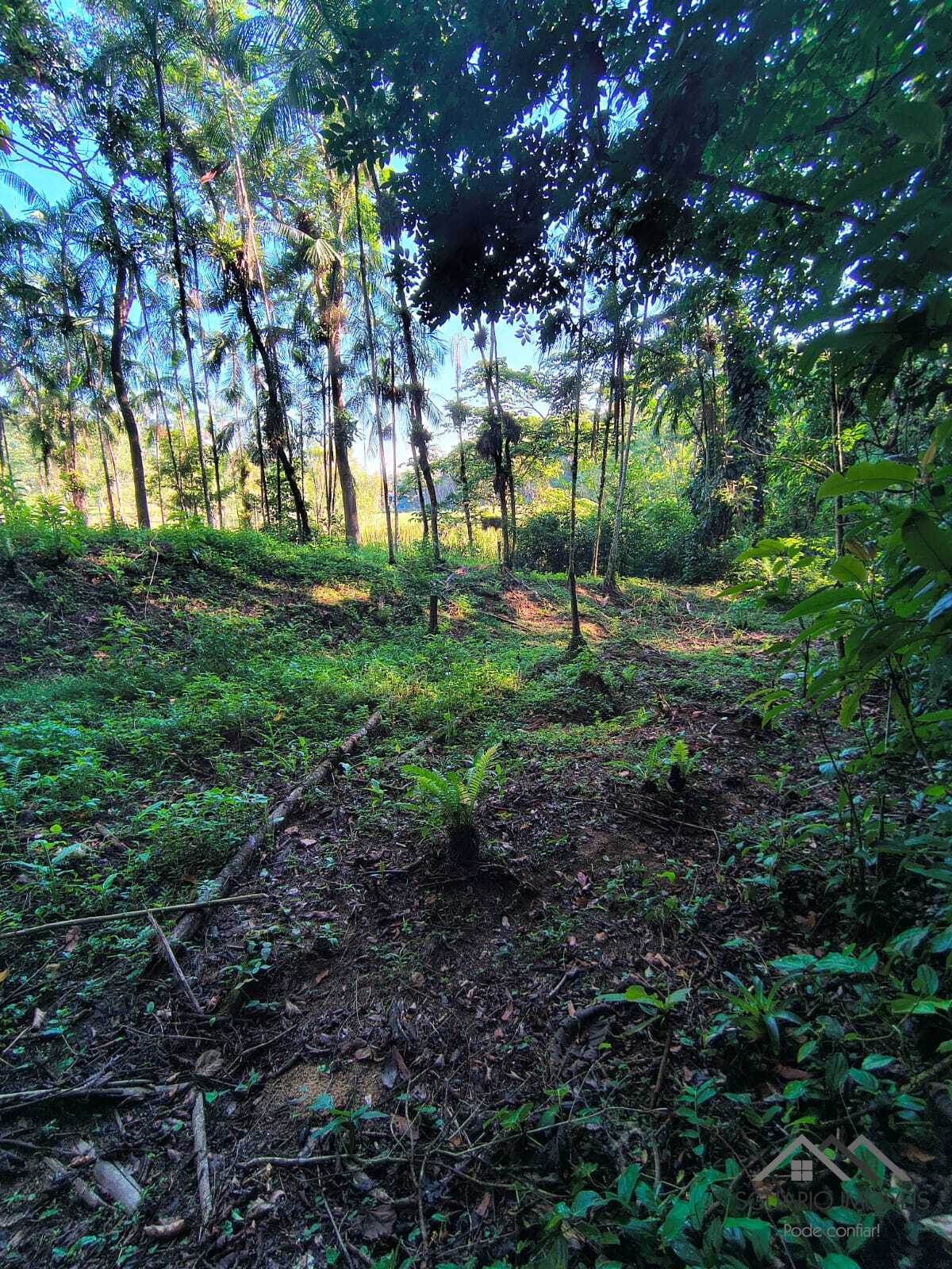 Rural à Venda, 84.700,00 m² - Foto 46