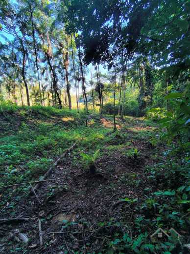 Rural à Venda, 84.700,00 m² - Foto 46
