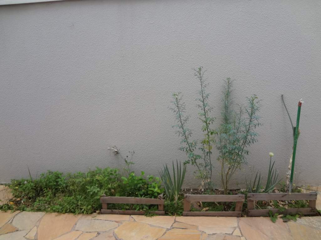 Casa com 3 Quartos à Venda - Foto 18