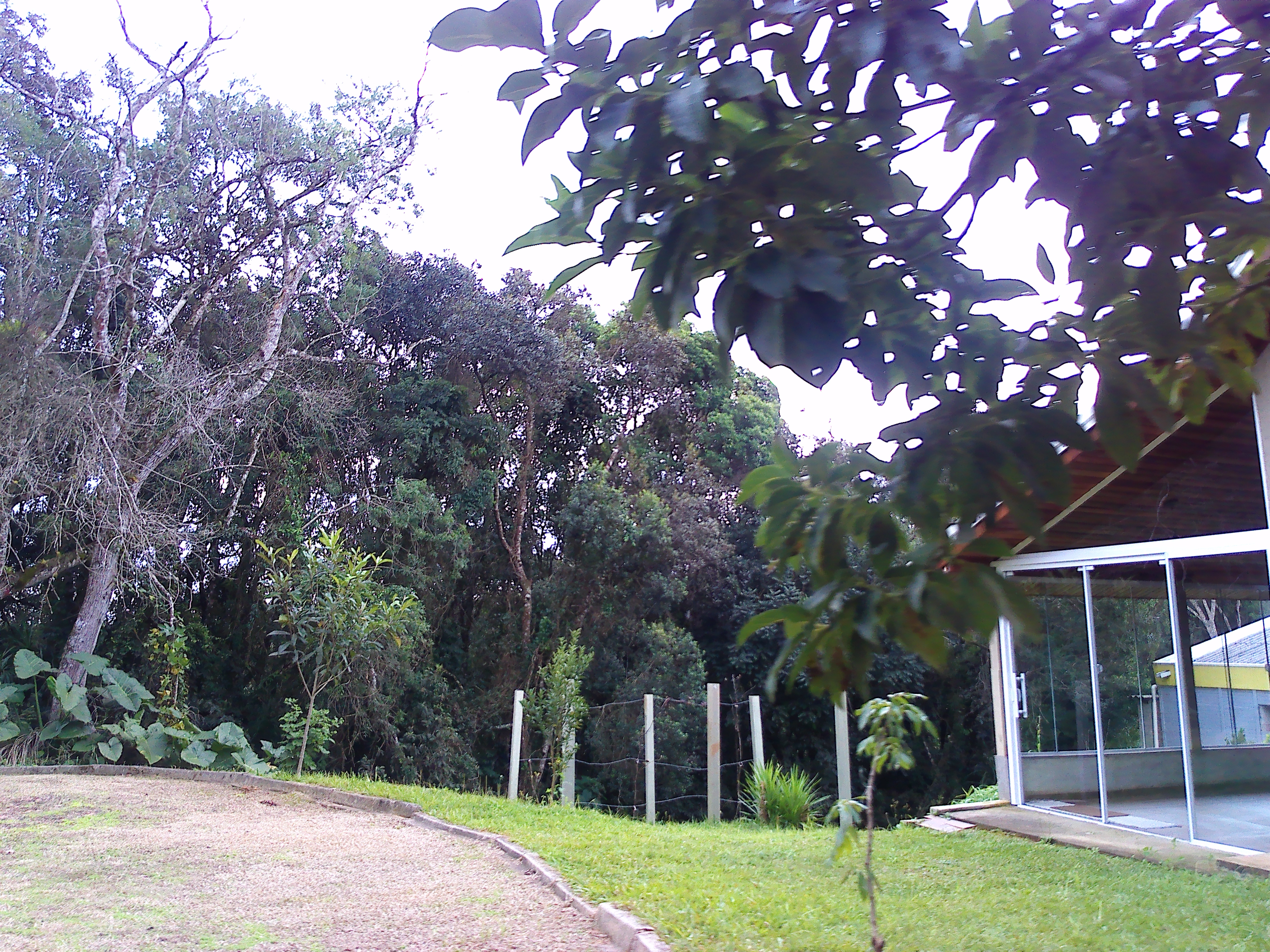 Rural com 3 Quartos à Venda, 1.237,22 m² - Foto 55