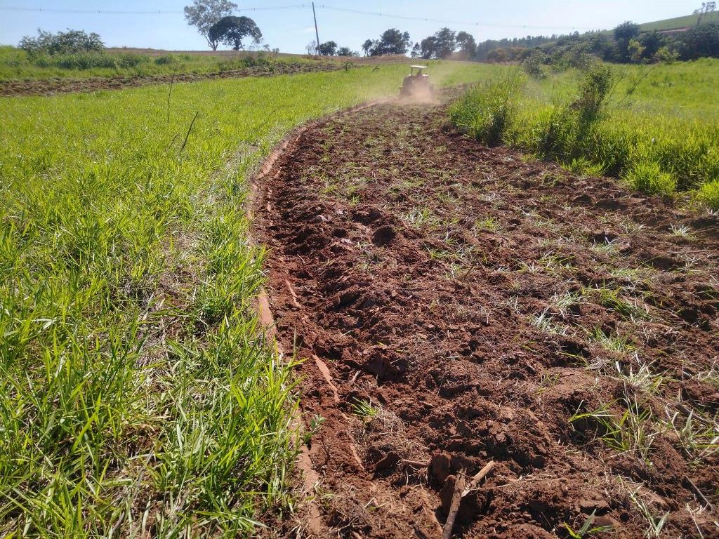 Rural à Venda, 20.000,00 m² - Foto 4