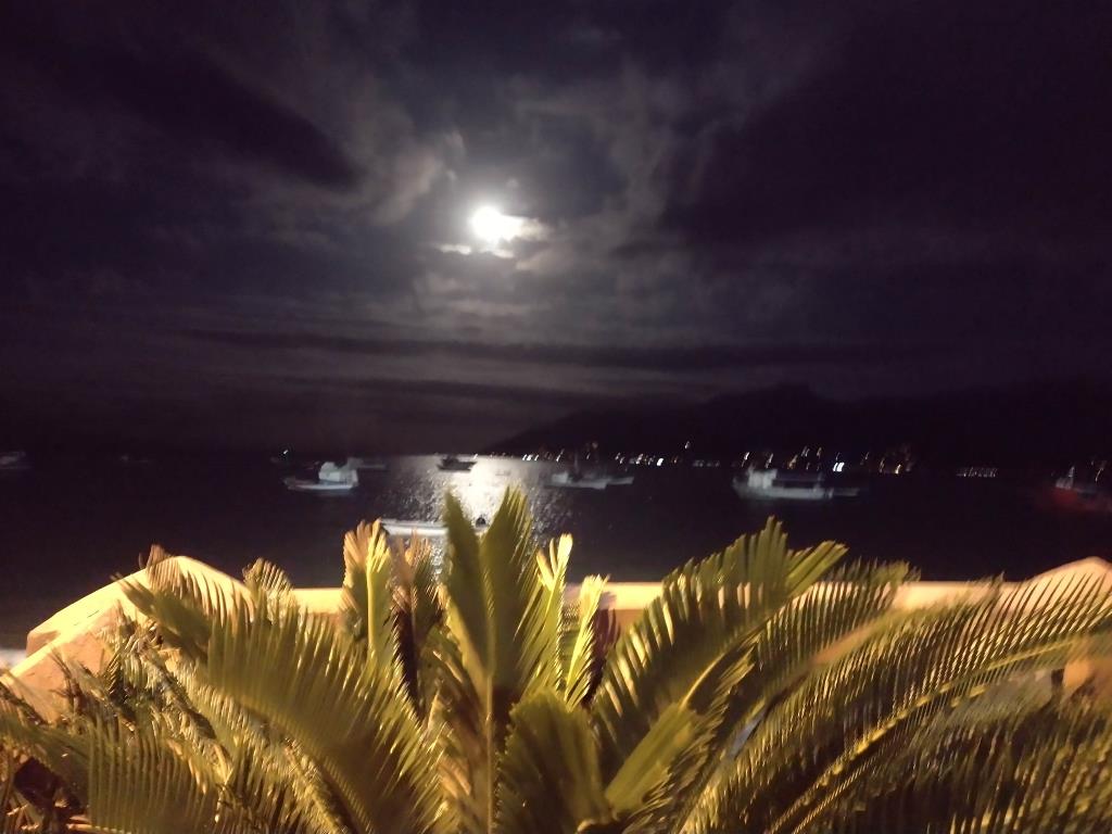 Casa com 4 Quartos para Temporada, 281,00 m² - Foto 4