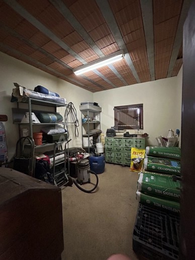 Rural com 8 Quartos à Venda, 242.000,00 m² - Foto 11