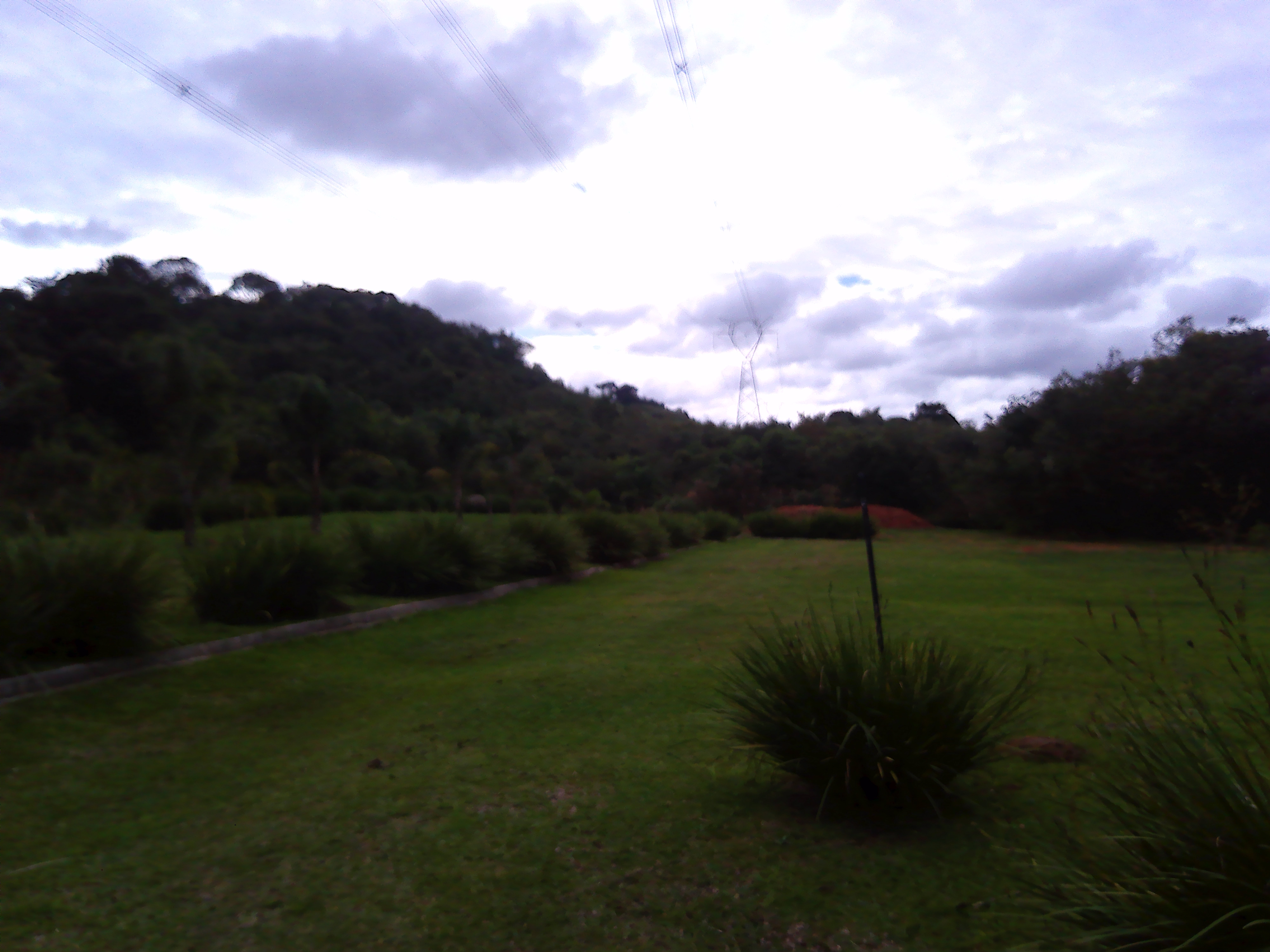 Rural com 3 Quartos à Venda, 1.237,22 m² - Foto 51