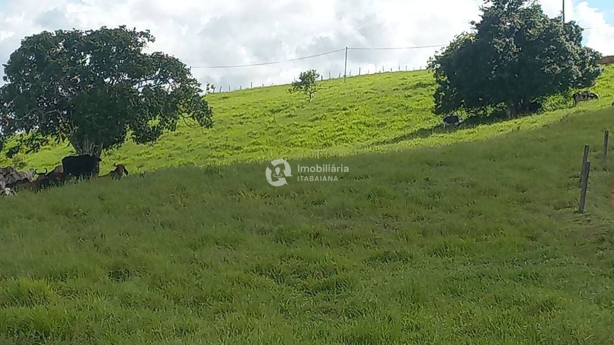 Rural com 5 Quartos à Venda, 868,00 m² - Foto 32